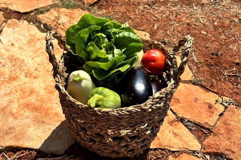 cooking-class-in-poje-hvar.jpg