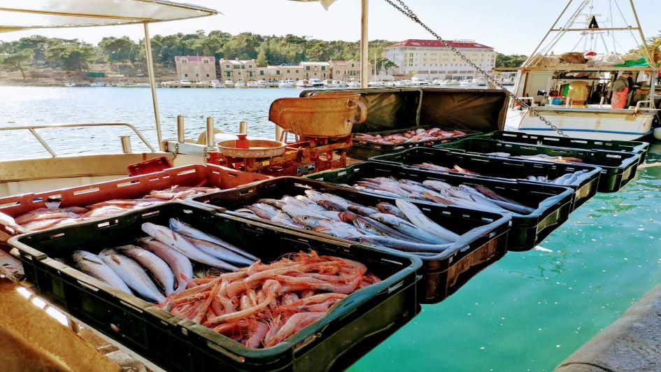 fisherman-boat-makarska-dalmatia-croatia.jpeg