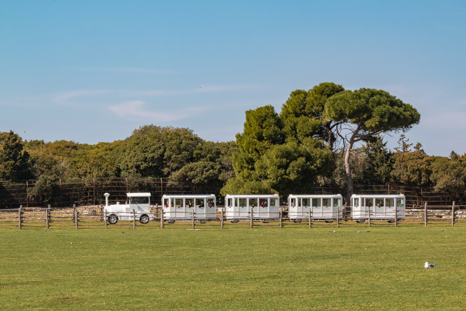 north-adriatic-brijuni-road-train-secret-adriatic.jpg