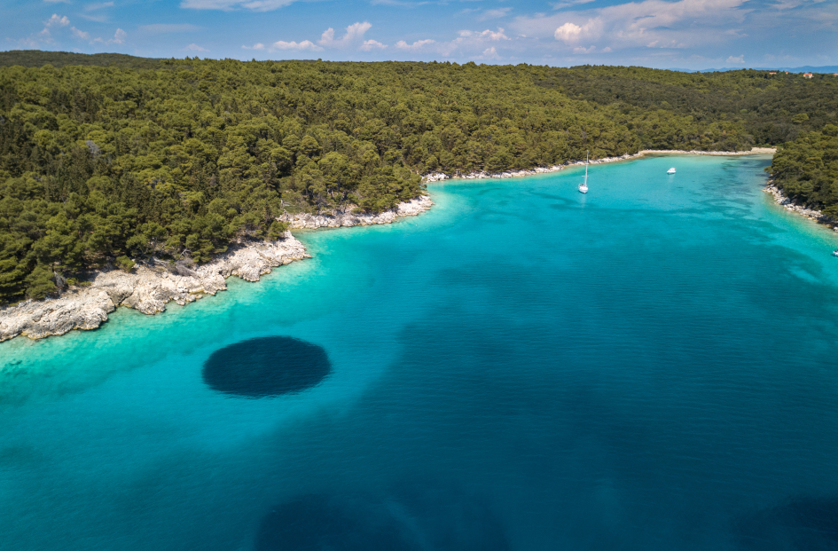 north-adriatic-island-rab-dundo-forest-secret-adriatic.jpg