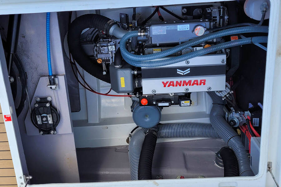 Bali 4.2 Cat Tales_DB