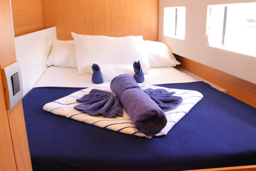 Bali Catsmart Tehani_X