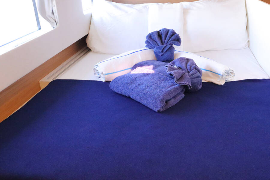 Bali Catsmart Tehani_X