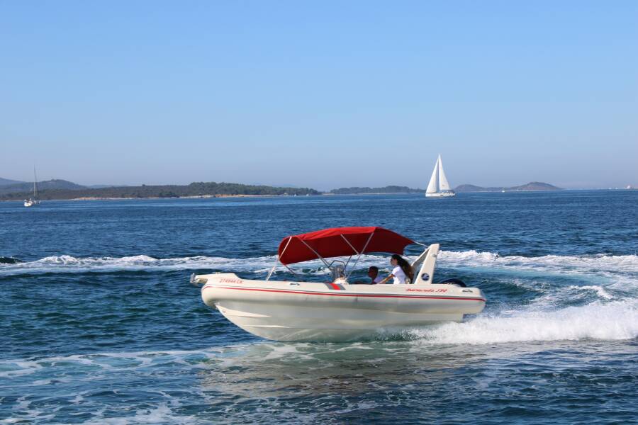 Barracuda 590 Barracuda 590 - 11