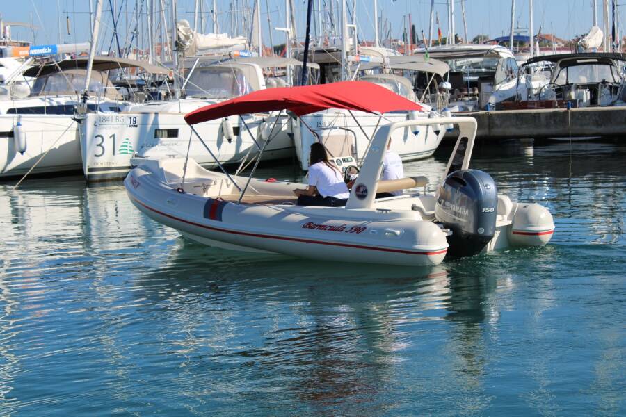 Barracuda 590 Barracuda 590 - 11