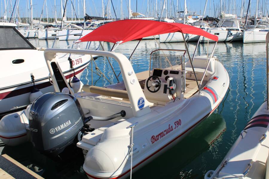 Barracuda 590 Barracuda 590 - 11