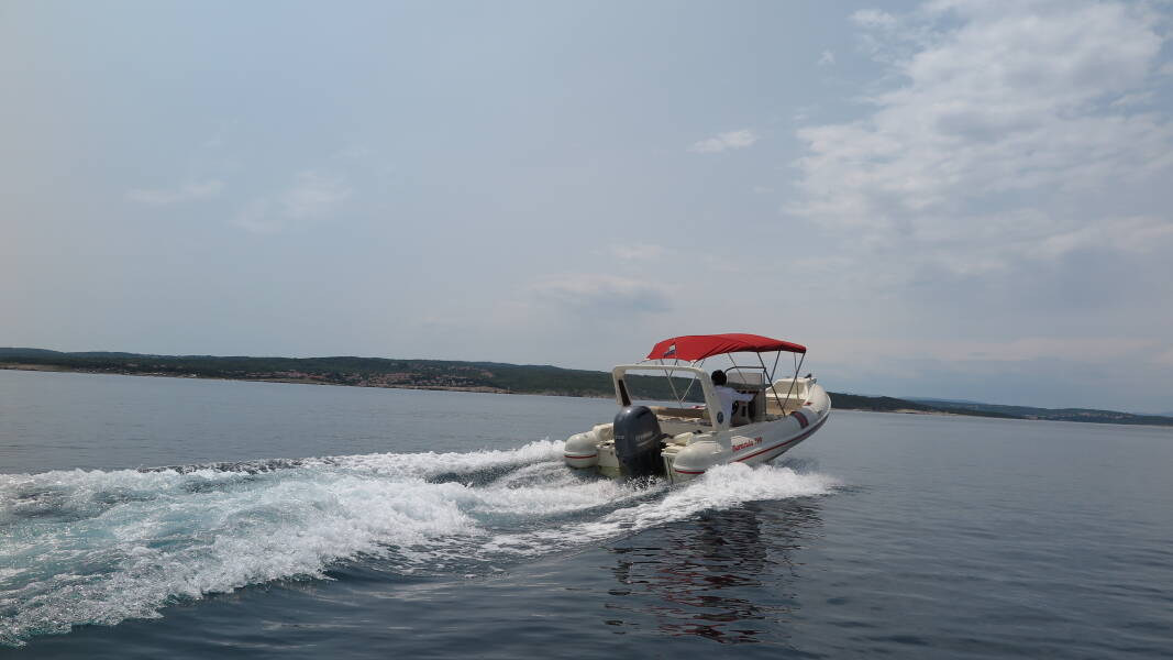 Barracuda 590 Barracuda 590 - 12