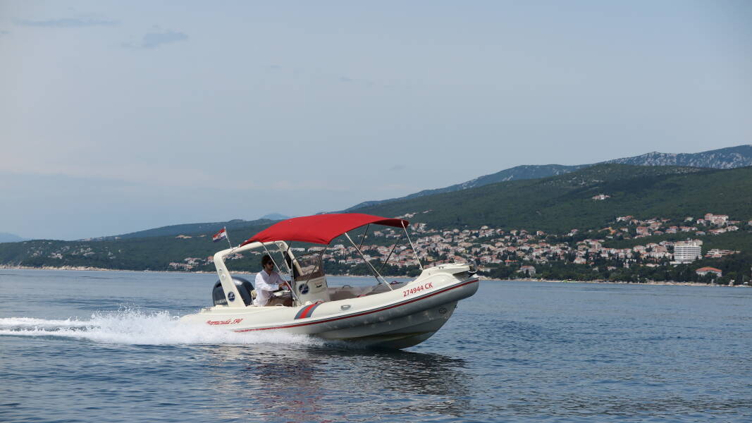 Barracuda 590 Barracuda 590 - 12
