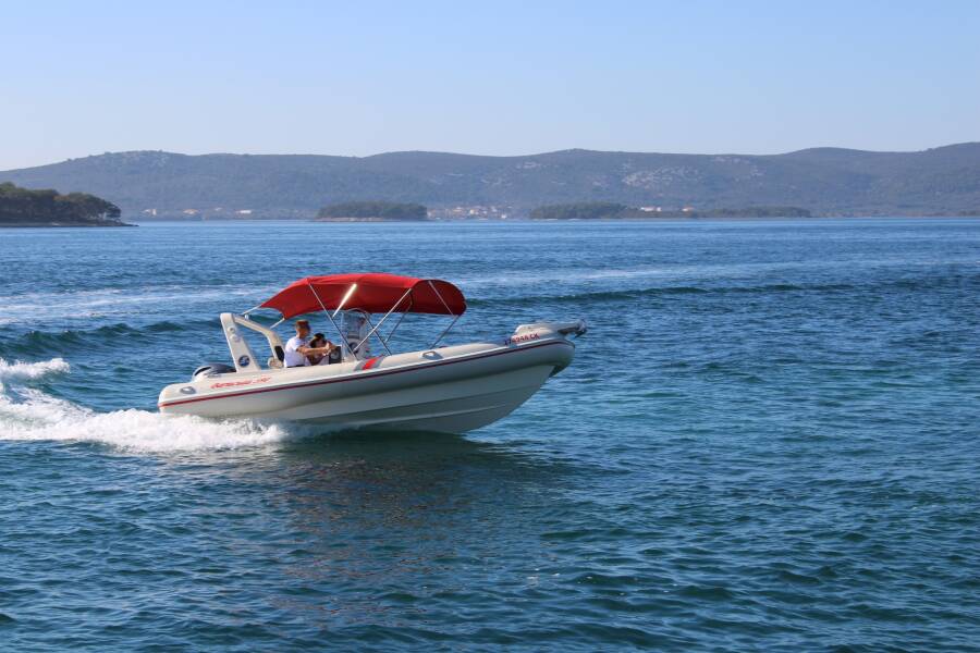 Barracuda 590 Barracuda 590 - 12