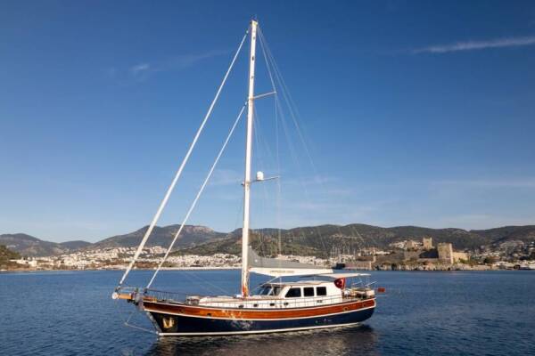 Carpediem coral Carpe Diem Coral