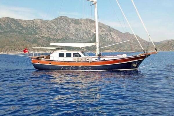 Carpediem coral Carpe Diem Coral