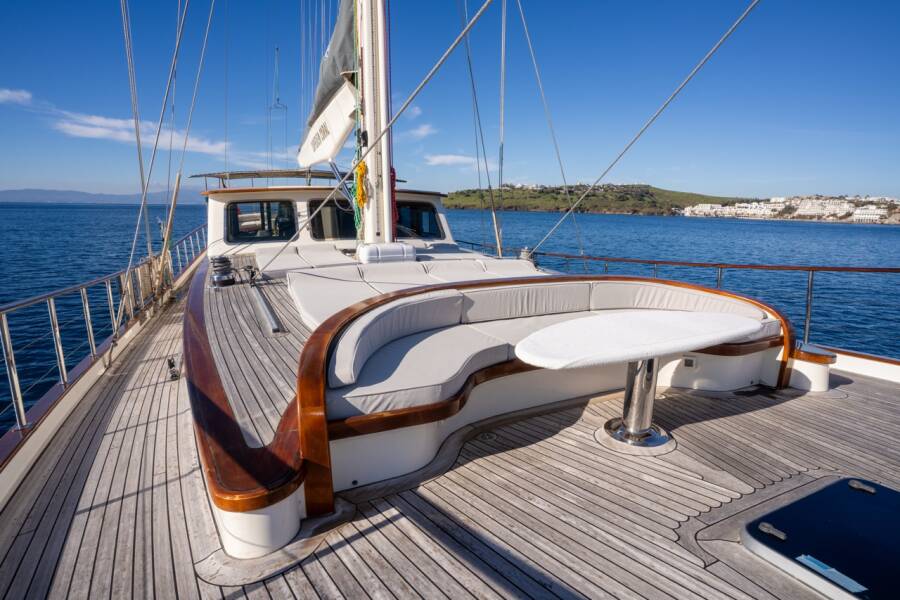 Carpediem coral Carpe Diem Coral