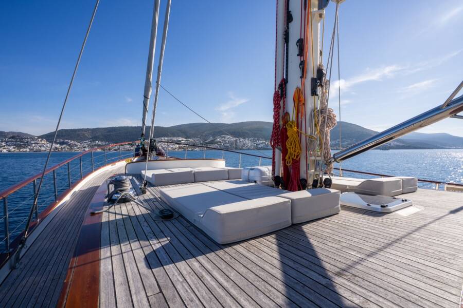 Carpediem coral Carpe Diem Coral