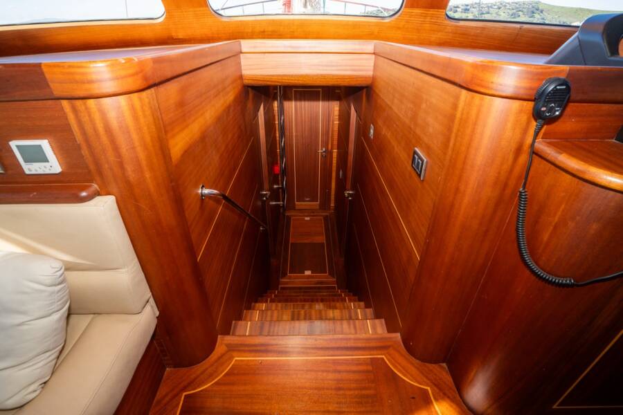 Carpediem coral Carpe Diem Coral