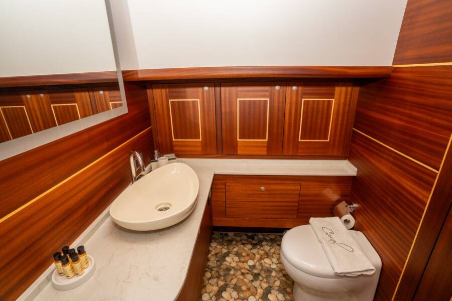 Carpediem coral Carpe Diem Coral