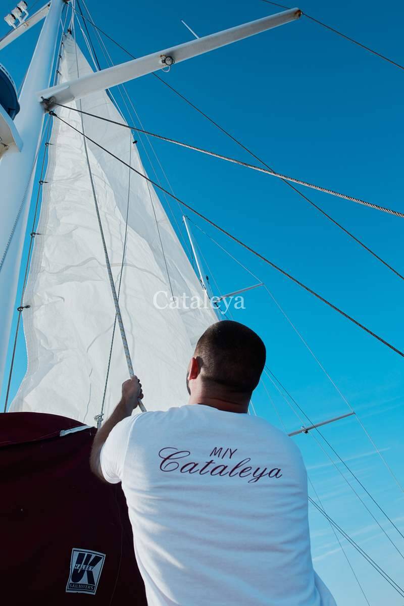 Cataleya Cataleya