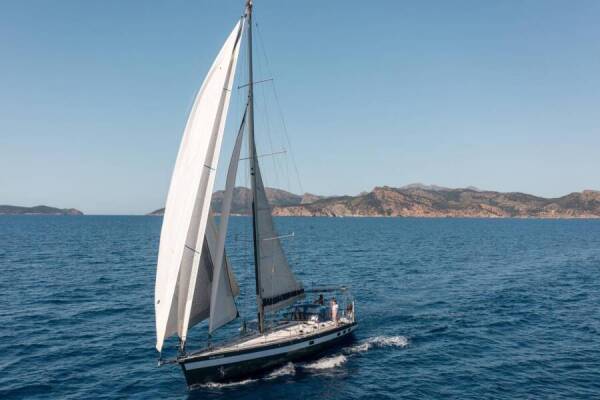 Cigale 16 Sargantal Zulu