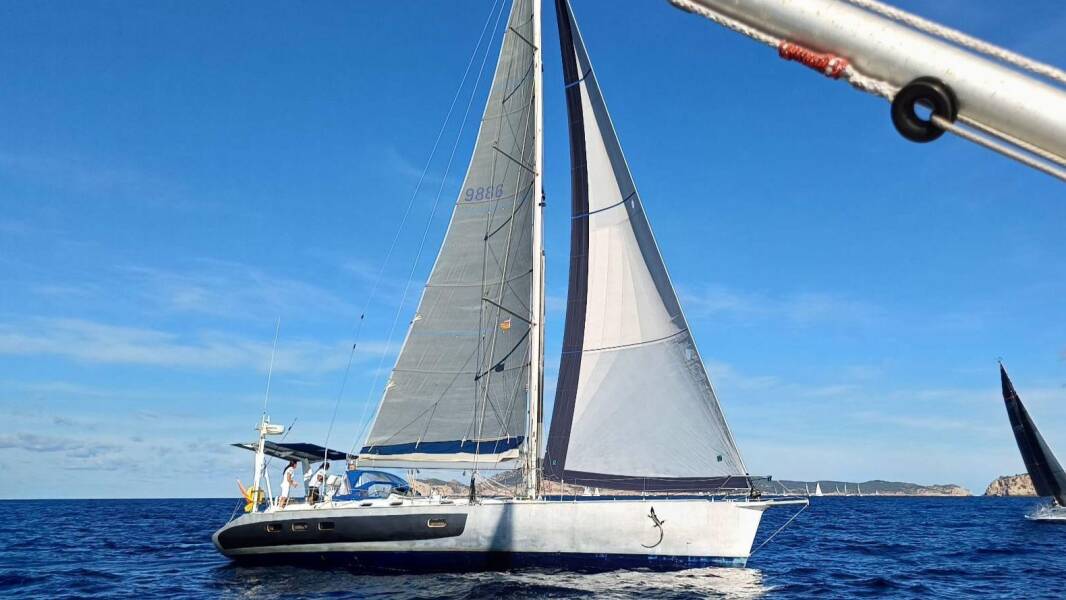 Cigale 16 Sargantal Zulu