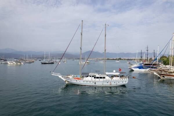 Diamond Lila Diamond Lila