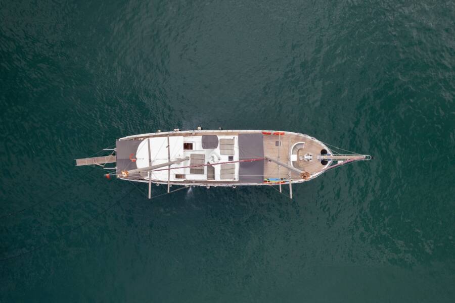 Diamond Lila Diamond Lila