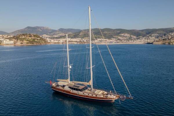 Dragon fly Dragon Fly