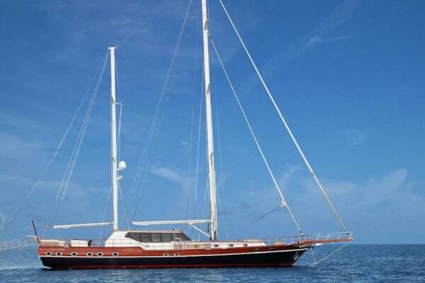 Dragon fly Dragon Fly