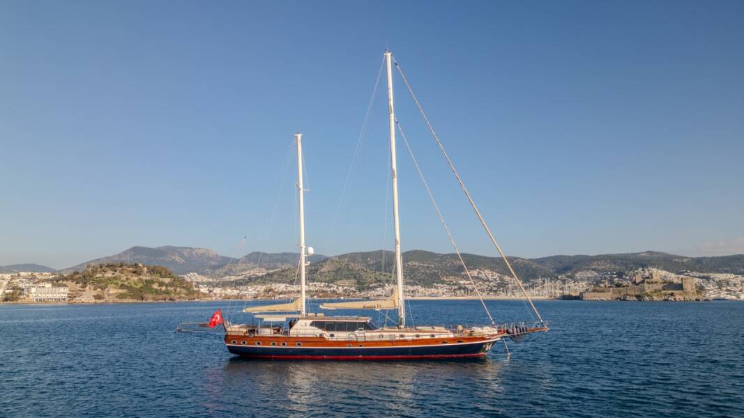 Dragon fly Dragon Fly