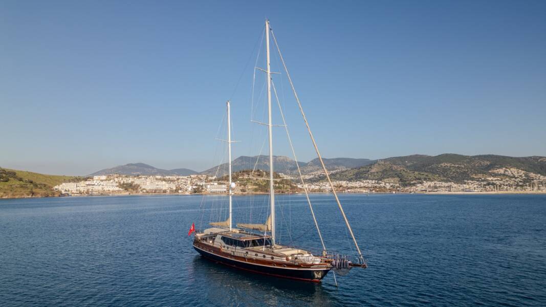 Dragon fly Dragon Fly