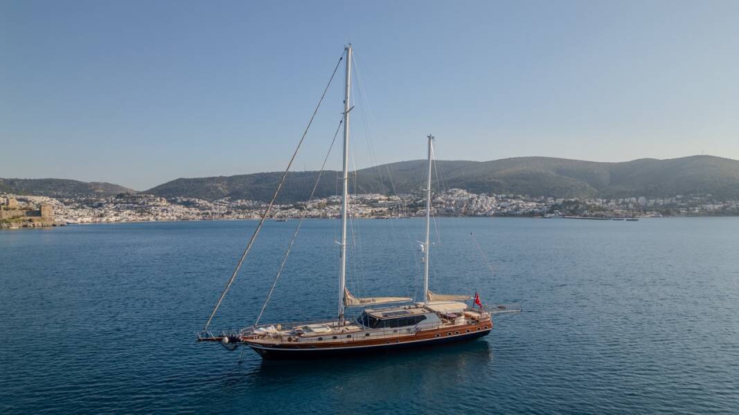 Dragon fly Dragon Fly