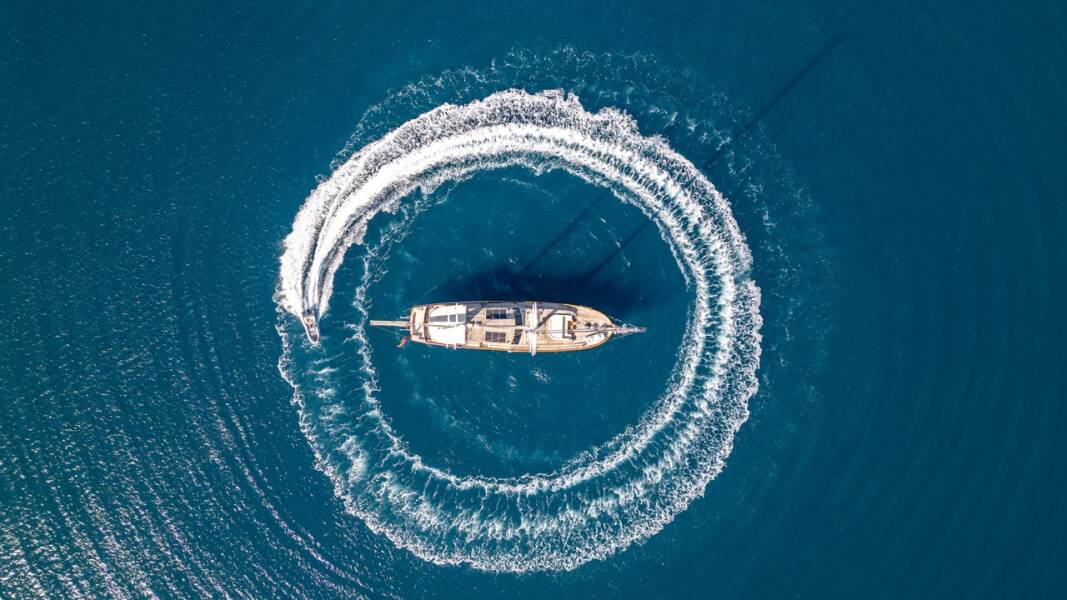 Dragon fly Dragon Fly