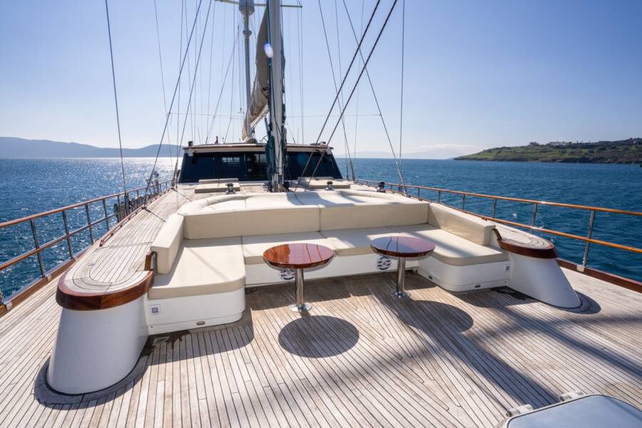 Dragon fly Dragon Fly