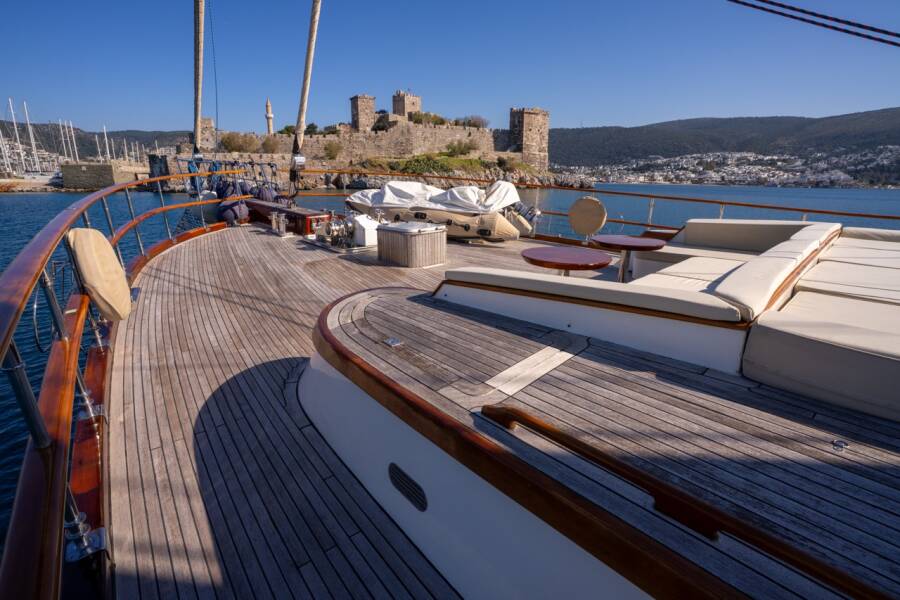 Dragon fly Dragon Fly