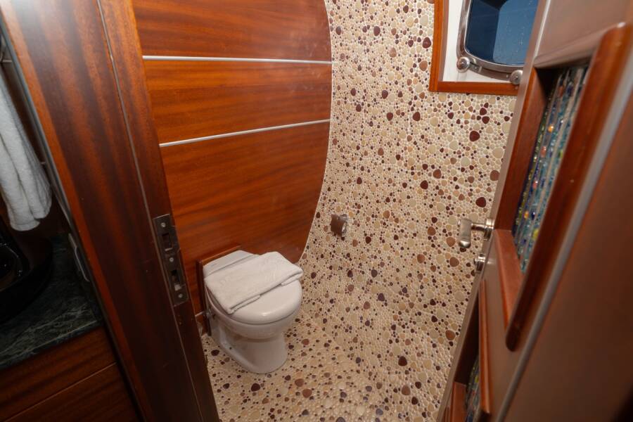 Dragon fly Dragon Fly