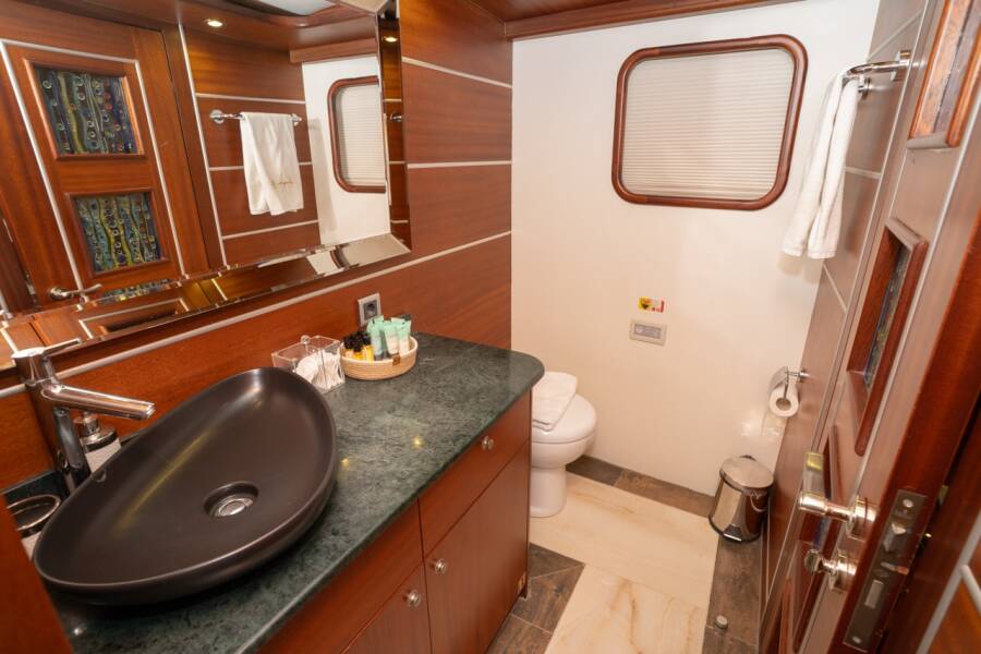 Dragon fly Dragon Fly