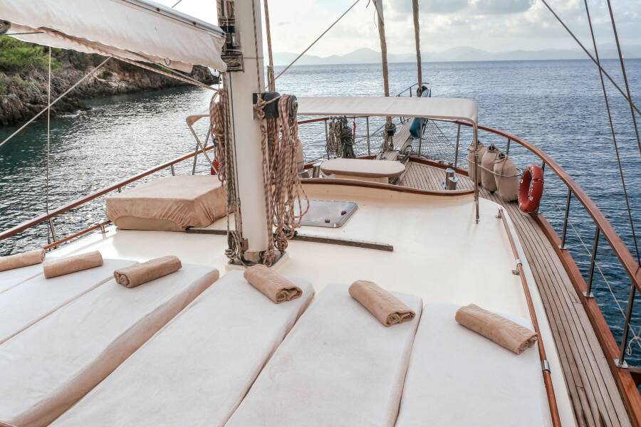 Junior Tarkan Junior Tarkan