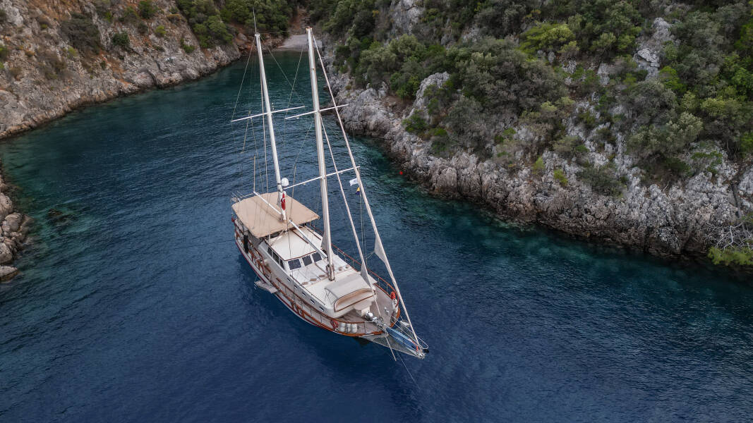 Junior Tarkan Junior Tarkan