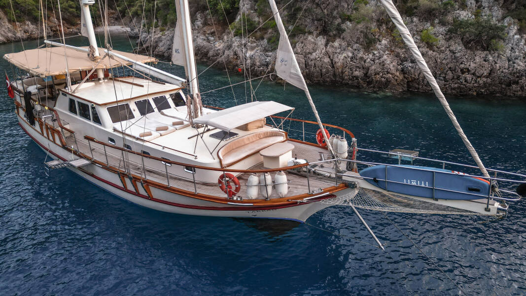 Junior Tarkan Junior Tarkan