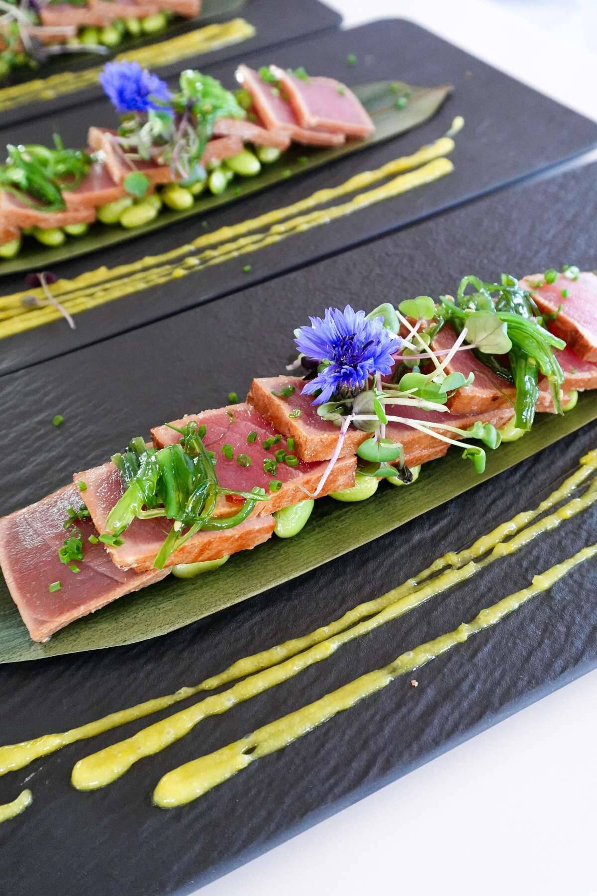 Lagoon Sixty 5 TriWing Endor