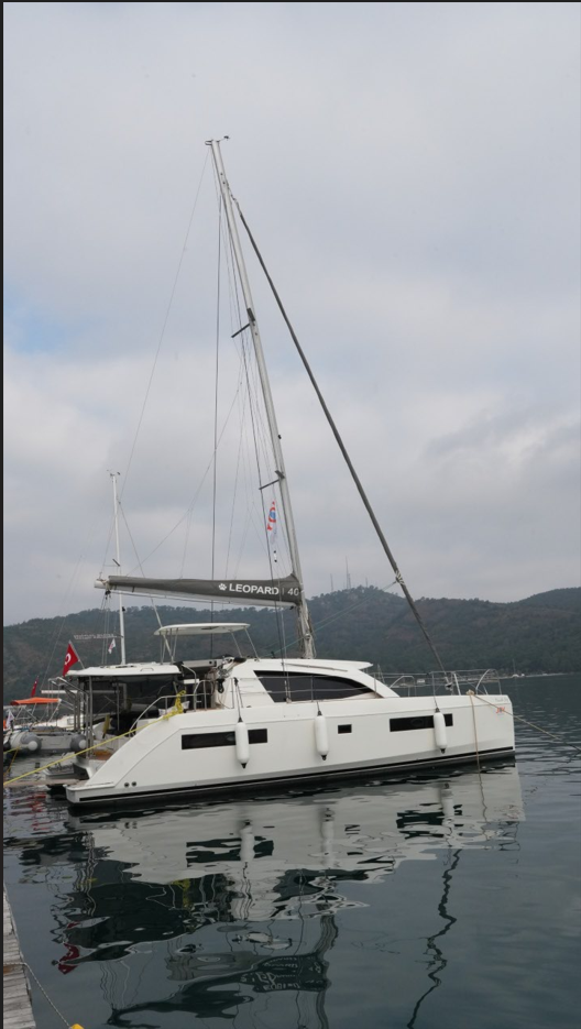 Leopard 40 Panda Joy