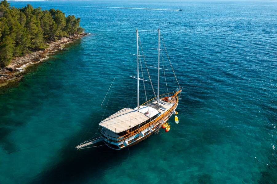 M/S Allure Allure