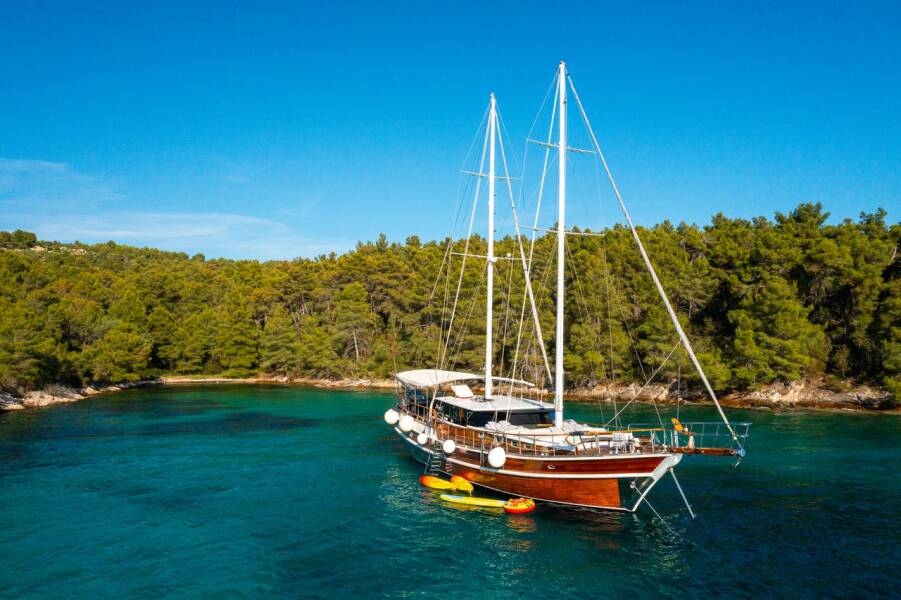 M/S Allure Allure
