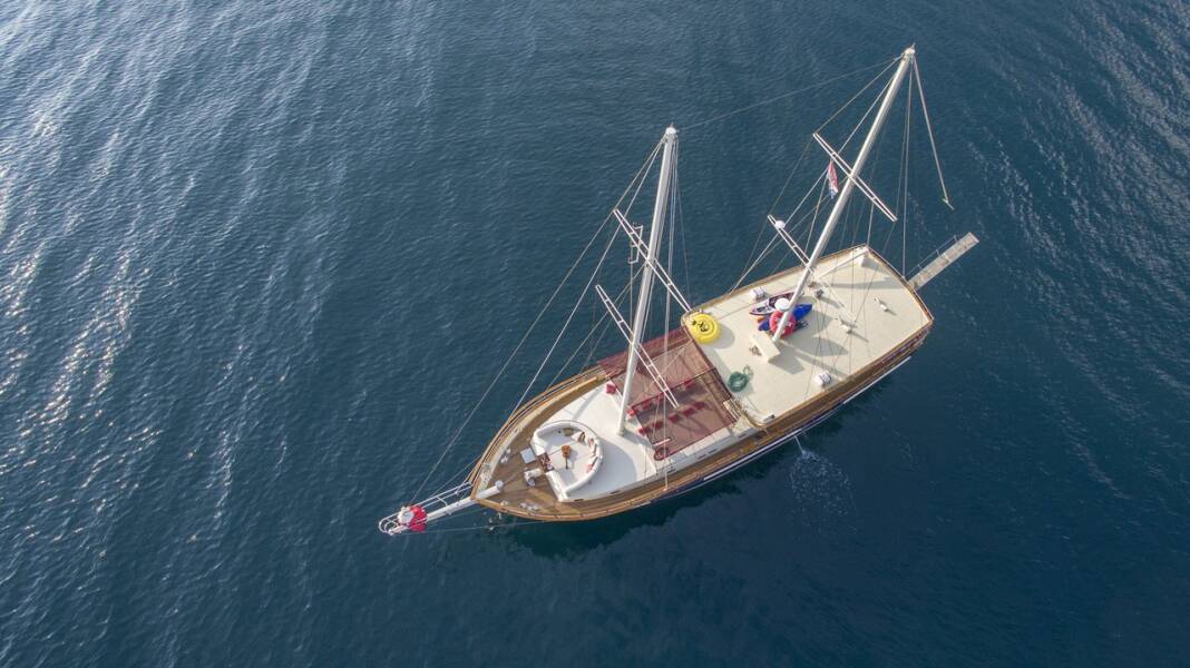 M/S Altair Altair