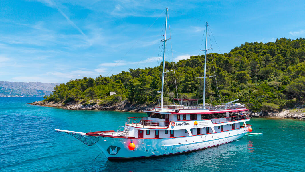 M/S Carpe Diem Carpe Diem