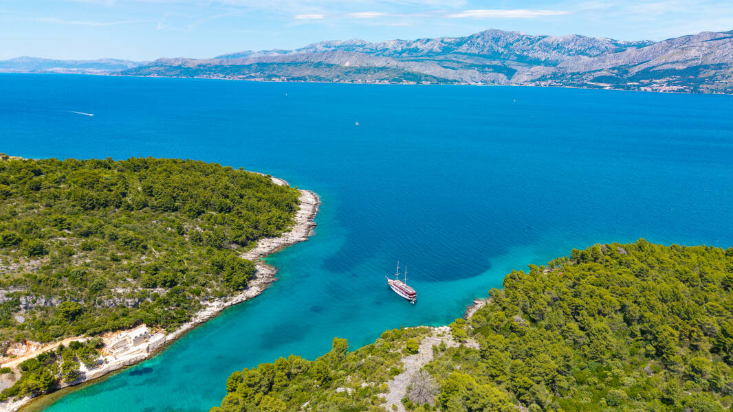 M/S Carpe Diem Carpe Diem