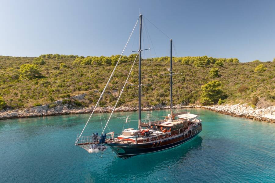 Pacha Pacha