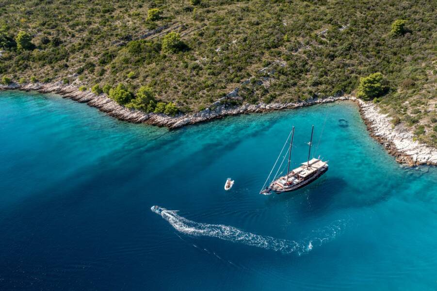Pacha Pacha