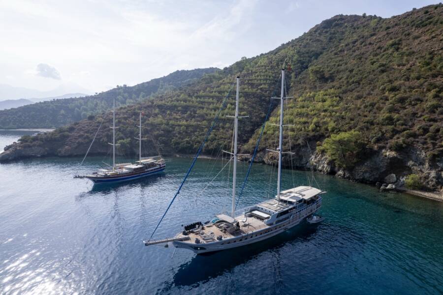 Prenses Lila Prenses Lila