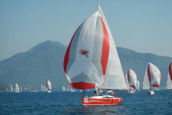 Salona 41 White Butterfly