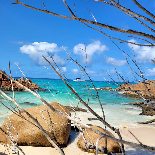 Sea-Tribe DH550 Valerie